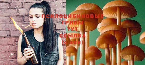 гидра Абдулино