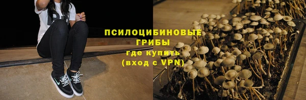 амф Абинск